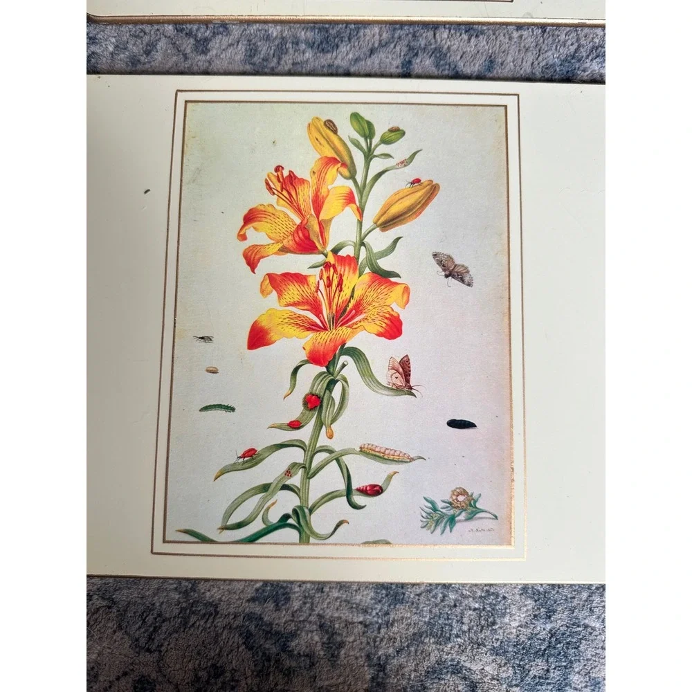 Lady Clare Placemats Set of 4 Vintage Botanical Floral Made in England Gold Edge